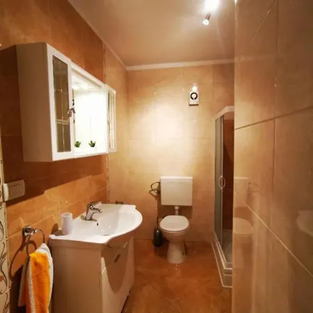 Apartment Franciska & Tihomir: